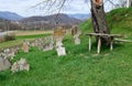 tree and a bench in the old cemetery Royalty Free Stock Photo