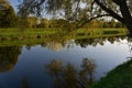 Tree over water