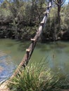 Tree bent over river with swing, Australian countryside