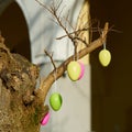 Tree in Berlin decorated with Easter eggs Royalty Free Stock Photo