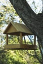 Tree big birdhouse. Preparing for the winter. The place where bird feed is put in