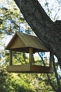 Tree big birdhouse. Preparing for the winter. The place where bird feed is put in