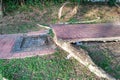 Tree with big roots destroy broke damage walkway pavement Royalty Free Stock Photo