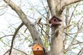 Tree birdhouse in the autumn