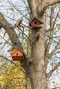 Tree birdhouse in the autumn