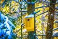 Tree birdhouse in winter snow