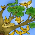 Tree with birds