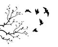 Flying birds silhouettes and branch illustration isolated on white background Royalty Free Stock Photo