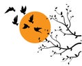 Flying birds silhouettes on sunset and branch illustration isolated on white background Royalty Free Stock Photo