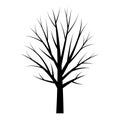 Tree black silhouette. Free tree template