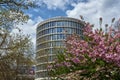 a tree blooming in spring and the facade of a modernist, round office building in the city of Poznan Royalty Free Stock Photo