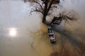 Tree and boats in floodwater - Bodrog river Hungar