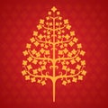 Tree bodhi leaf Royalty Free Stock Photo
