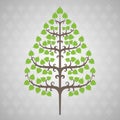 Tree bodhi leaf Royalty Free Stock Photo