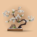 Tree in bonsai style. Bonsai tree with white sakura flowers on the low box. Decorative little tree vector illustration Royalty Free Stock Photo