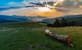 Tree bough and sunset in the mountains Royalty Free Stock Photo