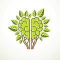 Tree Brain concept, the wisdom of nature, intelligent evolution. Royalty Free Stock Photo