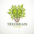 Tree Brain concept, the wisdom of nature, intelligent evolution. Human anatomical brain in a shape of tree with green leaves. Royalty Free Stock Photo