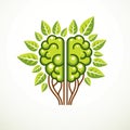 Tree Brain concept, the wisdom of nature, intelligent evolution. Human anatomical brain in a shape of tree with green leaves. Royalty Free Stock Photo