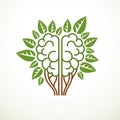Tree Brain concept, the wisdom of nature, intelligent evolution. Royalty Free Stock Photo