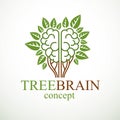 Tree Brain concept, the wisdom of nature, intelligent evolution. Royalty Free Stock Photo