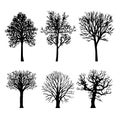 Tree Branch Arid Black Silhouettes Nature Forest Vector Illustration