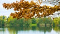 Tree branch with autumn leaves over lake Royalty Free Stock Photo