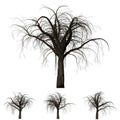 Tree branch background. 3D Illustration. White background isolate.