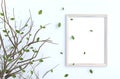 Tree branch and blow pink leaves on white cement wall with picture frame. Royalty Free Stock Photo