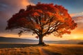 A tree branch covered in colorful autumn leaves, illuminated by the early morning sun, radiating warmth and tranquility