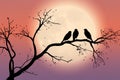 A tree branch cradles affectionate birds in beautiful silhouette