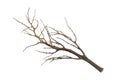 Tree branch , dead branch isolated