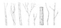 Tree Branch Engraving. Hand Drawn Forest Twigs. Dry Wood Log And Lumber Rustic Graphic Templates. Natural Winter Or
