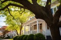 tree branch framing an elegant colonial house