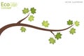 Tree branch with green leaves over white background.