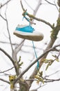 On tree branch hanging shoe girl Royalty Free Stock Photo