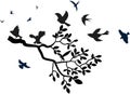 Tree branch with leaves, birds perched and flying with black and white silhouette - wall decals Royalty Free Stock Photo