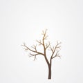 Tree branch without leaves silhouette. Tree branch vector illustration Royalty Free Stock Photo