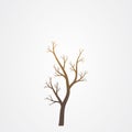 Tree branch without leaves silhouette. Tree branch vector illustration Royalty Free Stock Photo