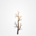 Tree branch without leaves silhouette. Tree branch vector illustration Royalty Free Stock Photo