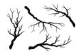 Tree branch without leaves silhouettes set isolated on white