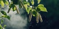 A tree branch with pollen particles floating in the air, causing seasonal allergies