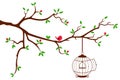 Tree Branch with rounded bird cage