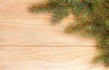 Tree branch on rustic wooden background