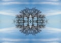 Abstract symmetry background.