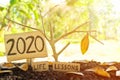 A tree branch with a single remaining last leaf hanging beside a 2020 Learning sign at sunset. Life lessons and learnings 2020. Royalty Free Stock Photo