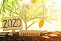 A tree branch with a single remaining last leaf hanging beside a 2020 Learning sign at sunset. Life lessons and learnings 2020. Royalty Free Stock Photo