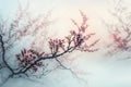 A tree branch of spring blossoms with a pink background Royalty Free Stock Photo