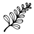 Tree branch vector icon. Hand-drawn illustration isolated on white background. Black silhouette of a twig with oval veined leaves Royalty Free Stock Photo
