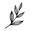 Tree branch vector icon. Veins on leaves with a stem. Black outline, simple doodle